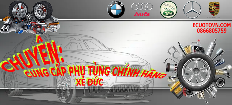 Hộp ECU Ô Tô Việt Nam