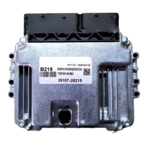 Sơ đồ chân pinout ECU Bosch MEG17.9.21 Hyundai Kia